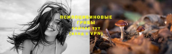 тгк Медногорск