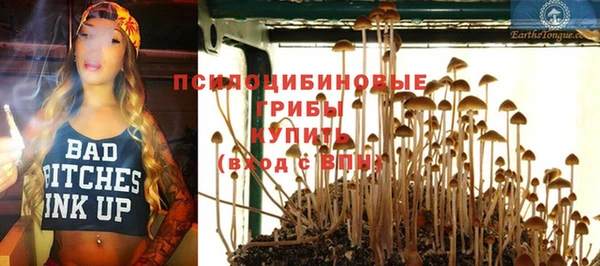 spice Абдулино